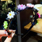🏆🔥LAST DAY 🌺BUY 1 GET 1 FREE🌺Children's Cute Braided Hairpin