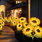 ⏳Hot Sale🌻50K+ SOLD! 🎁✨Sunflower Solar Garden Stake Led Lights