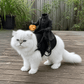 🎃 Headless Horseman Pet Costume — Hilarious Halloween Rider for Cats & Dogs 🐎