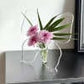 💐2026 HOT SALE-49% OFF🦋 Transparent Butterfly Vase