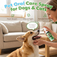 🏆🔥LAST DAY BUY 2 GET 1 FREE💖Teeth Cleaning Spray for Pets
