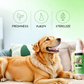 🏆🔥LAST DAY BUY 2 GET 1 FREE💖Teeth Cleaning Spray for Pets