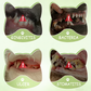 🏆🔥LAST DAY BUY 2 GET 1 FREE💖Teeth Cleaning Spray for Pets