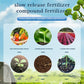 🔥2024 Hot Sale 49%OFF 🌞Home Gardening Universal Slow-Release Tablet Organic Fertilizer