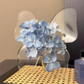 💐2026 HOT SALE-49% OFF🦋 Transparent Butterfly Vase