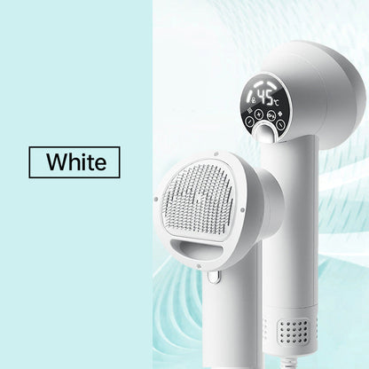 🎁Limited Time 50% OFF⏳&Free Shipping&Last Day Sale🔥Low Noise Pet Hair Dryer with Slicker Brush