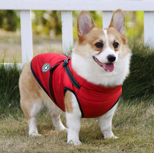 🎄Christmas Sale-49% OFF🐕❄️Winter Warm Pet Dog Waterproof Jacket With Harness