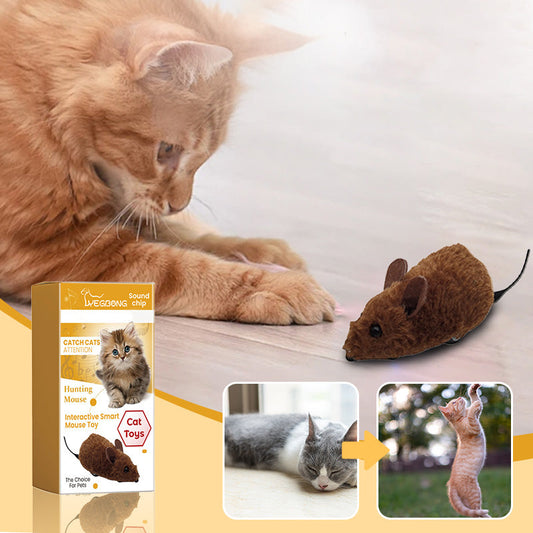 🔥Last Day Sale! -Buy 2 and get 1 free🐭Mouse toy for Cats and Dogs🐁