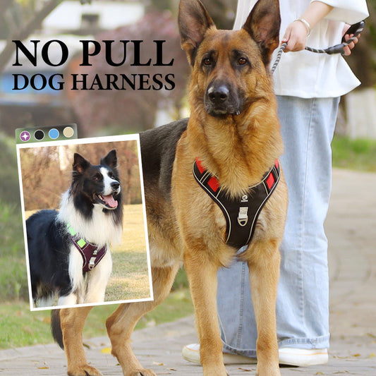 🐶 50% OFF NOW! 🛡️No Pull Dog Harness with Leash & Collar LED – Secure & Comfortable ✨