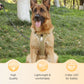 🐶 50% OFF NOW! 🛡️No Pull Dog Harness with Leash & Collar LED – Secure & Comfortable ✨
