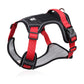 🐶 50% OFF NOW! 🛡️No Pull Dog Harness with Leash & Collar LED – Secure & Comfortable ✨