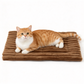 🥳2026 HOT SALE🥳💞50K+ SOLD!🍃🐾 50% OFF!Cozy Warm Plush Pet Sleeping Mat🐱🐶