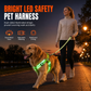 🥳2026 HOT SALE🥳💞50K+ SOLD!🍃🐾 50% OFF! LED Dog Harness – Luminous, flashing & adjustable fit ✨