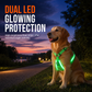 🥳2026 HOT SALE🥳💞50K+ SOLD!🍃🐾 50% OFF! LED Dog Harness – Luminous, flashing & adjustable fit ✨