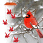 🔥BIG SALE🔥 - Solar Cardinal Wind Chime Light