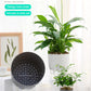 Self Watering Plant Pot