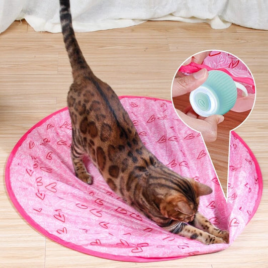 Smart Cat Interactive Ball Toys