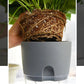 Self Watering Plant Pot