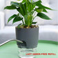 Self Watering Plant Pot